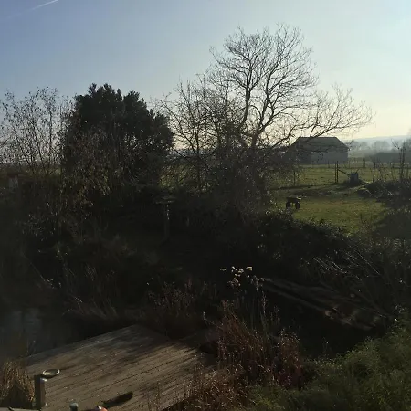 Auf Dem Kutzenberg メッケンハイム